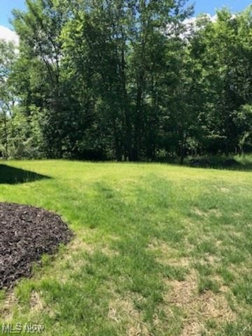 Vl Lunn Road Strongsville, OH 44149 - Photo 4 of 4 View of green lawn