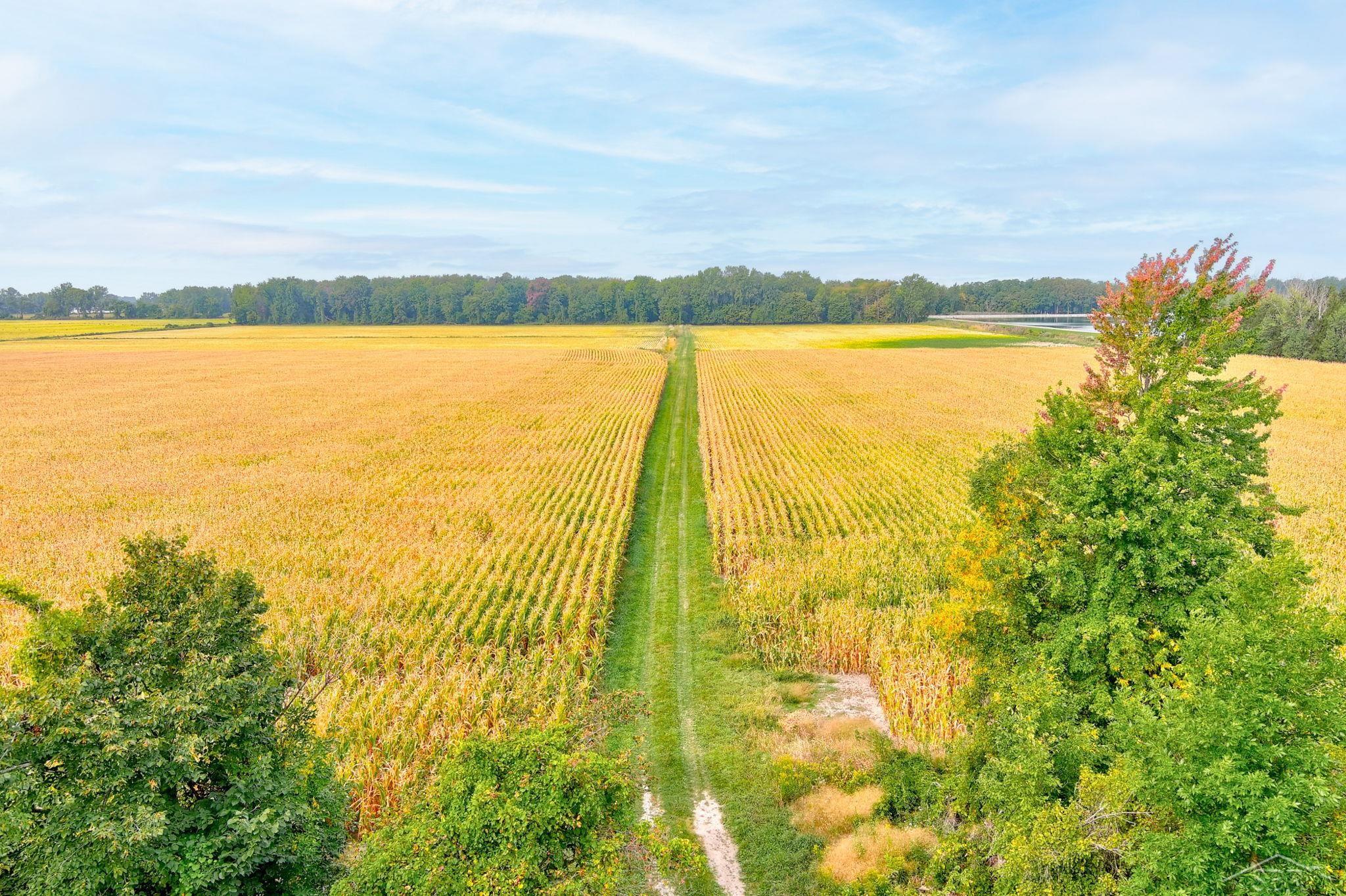 Unionville Road Sebewaing, MI 48759 - Photo 6 of 9