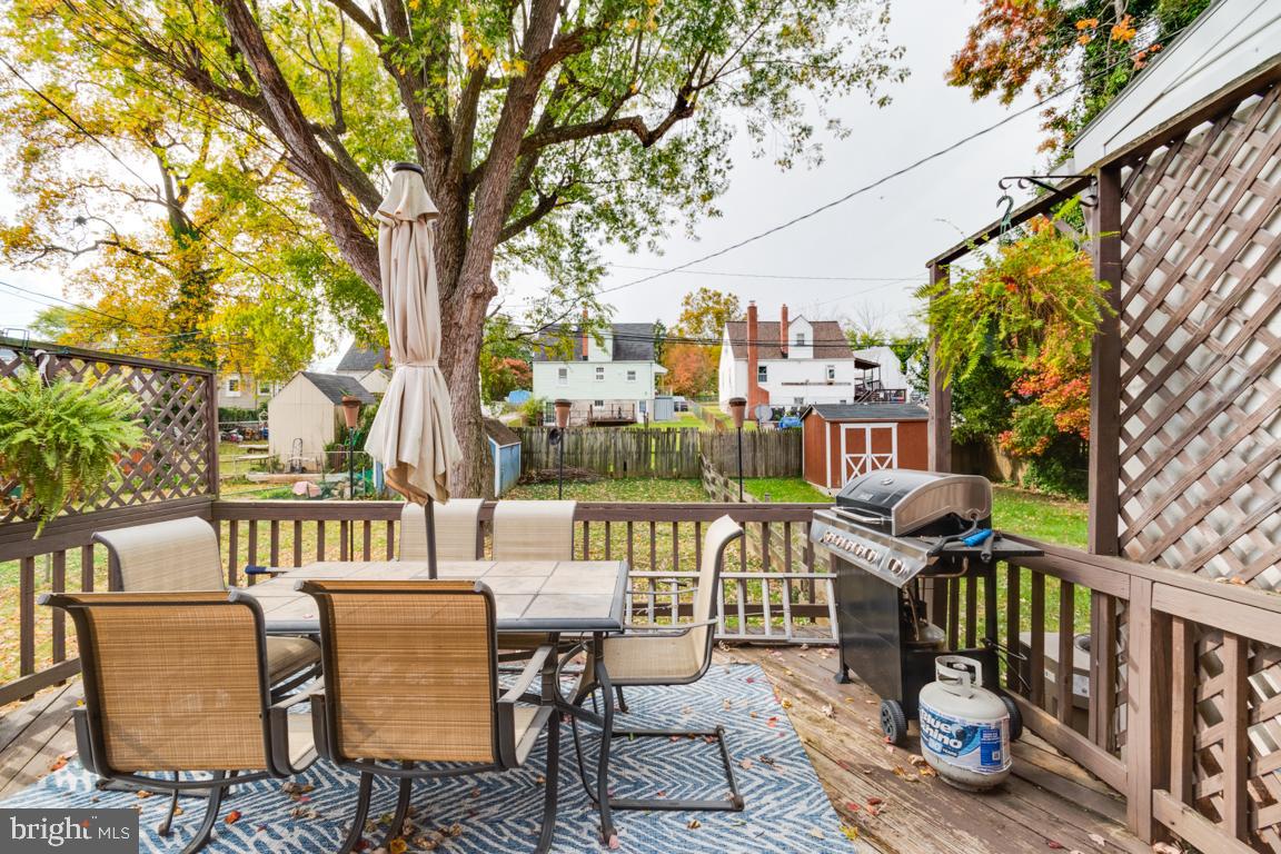 315 3rd Street Baltimore, MD 21206 - Photo 22 of 25 Rear deck