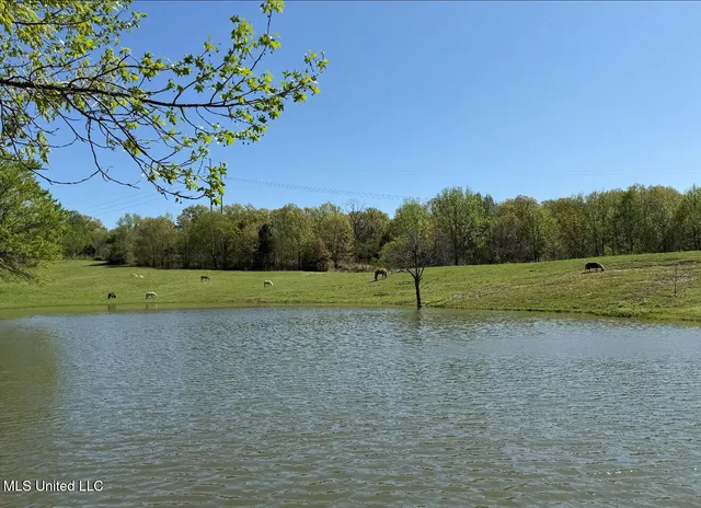 $665,000 | 748 Bluegoose Road, Sarah, MS 38665
