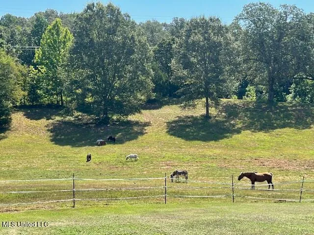 $665,000 | 748 Bluegoose Road, Sarah, MS 38665