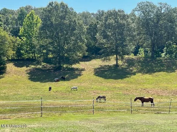 $575,000 | 748 Bluegoose Road, Sarah, MS 38665