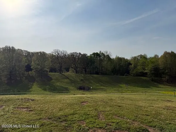 $575,000 | 748 Bluegoose Road, Sarah, MS 38665