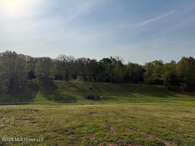 748 Bluegoose Road Sarah, MS 38665 - Photo 47 of 48 748 BLUE GOOSE ROAD