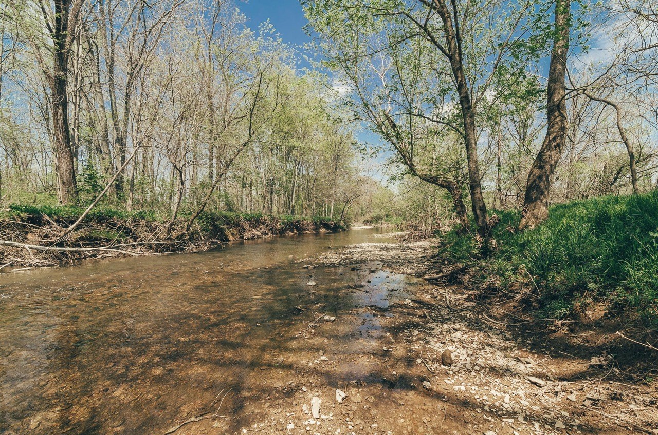 331 North Leath Road Portland, TN 37148 - Photo 4 of 6