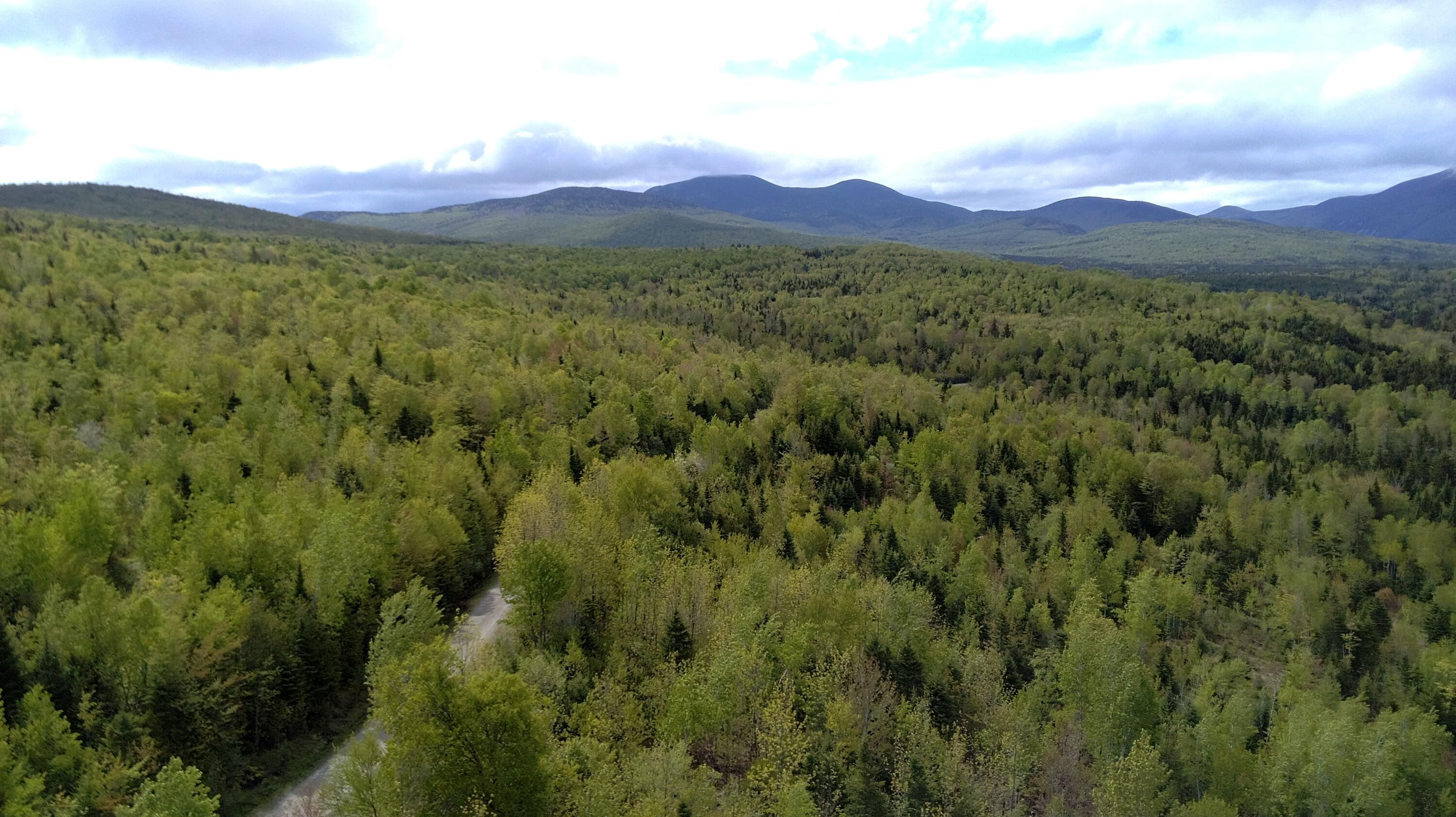 M10-l18e East B Hill Road Newry, ME 04261 - Photo 9 of 38 20260530_092104_000