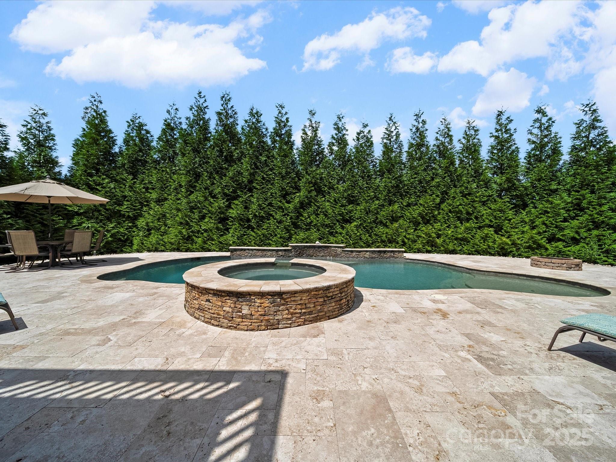 11632 Barnard Street Mint Hill, NC 28227 - Photo 35 of 39 a view of a swimming pool with a yard and plants