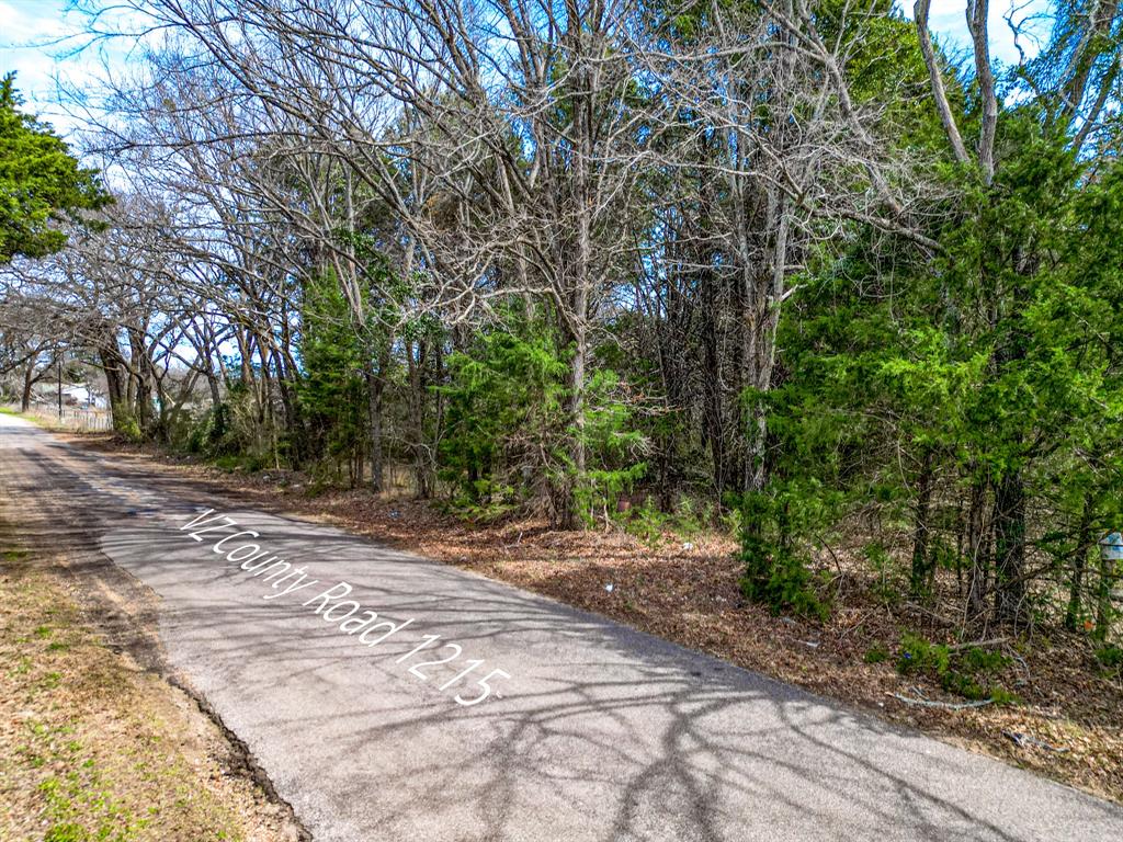 1215 County Road 1215 Canton, TX 75103 - Photo 3 of 8 a view of a yard with plants and trees