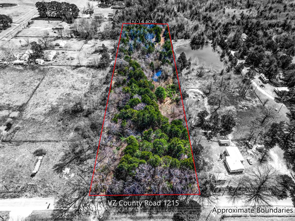 1215 County Road 1215 Canton, TX 75103 - Photo 4 of 8 a picture of trees