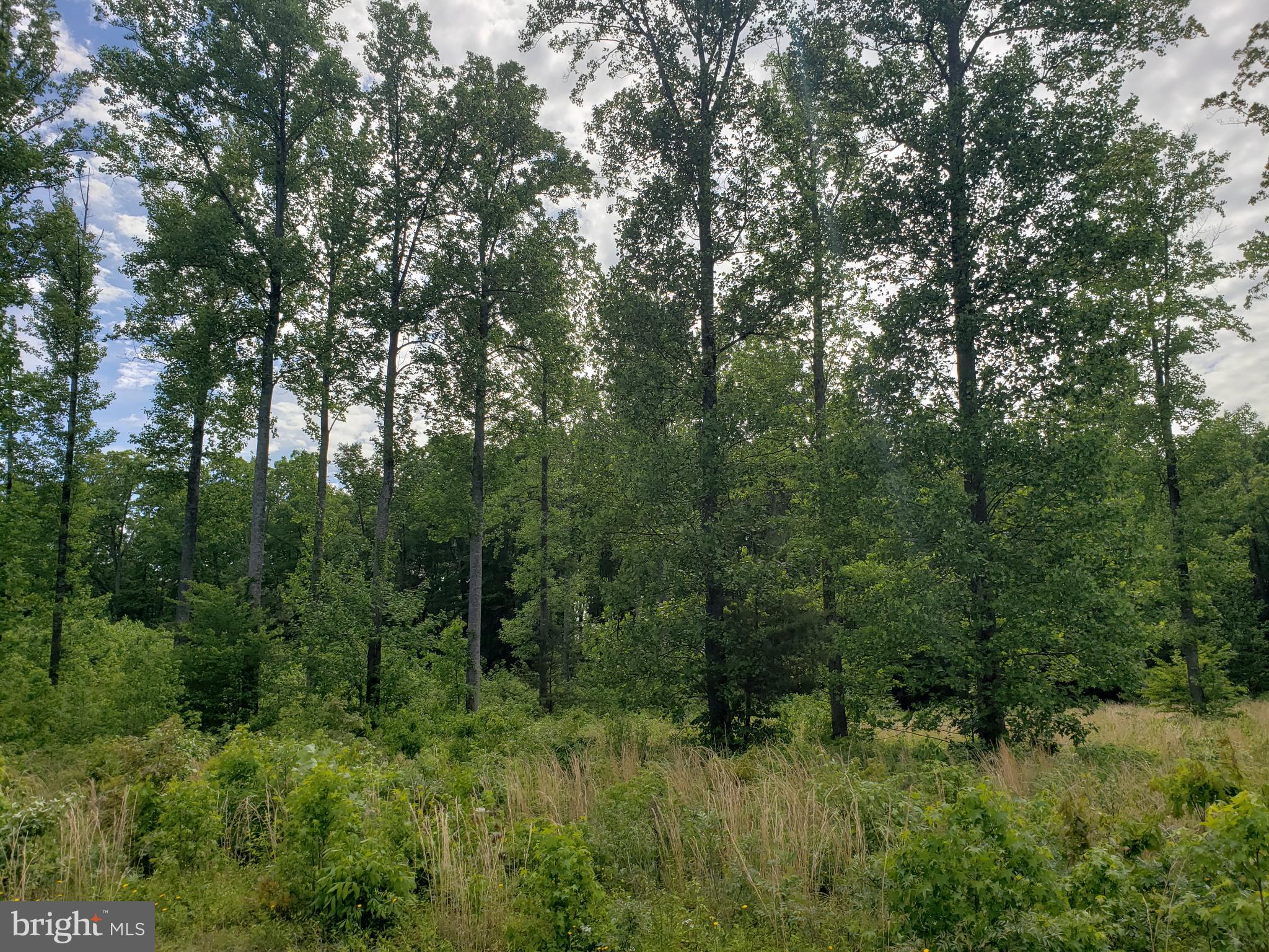 Lot 166 Rainbow Ridge Bumpass, VA 23024 - Photo 1 of 6 Gallery Image 1