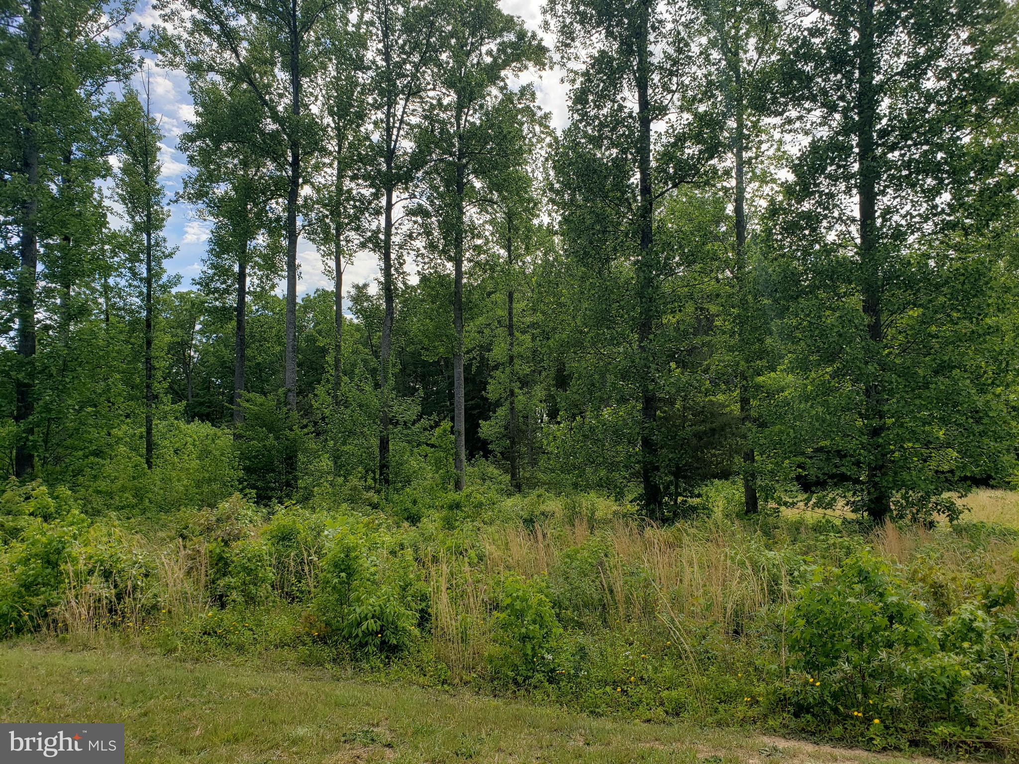 Lot 166 Rainbow Ridge Bumpass, VA 23024 - Photo 2 of 6 Gallery Image 2