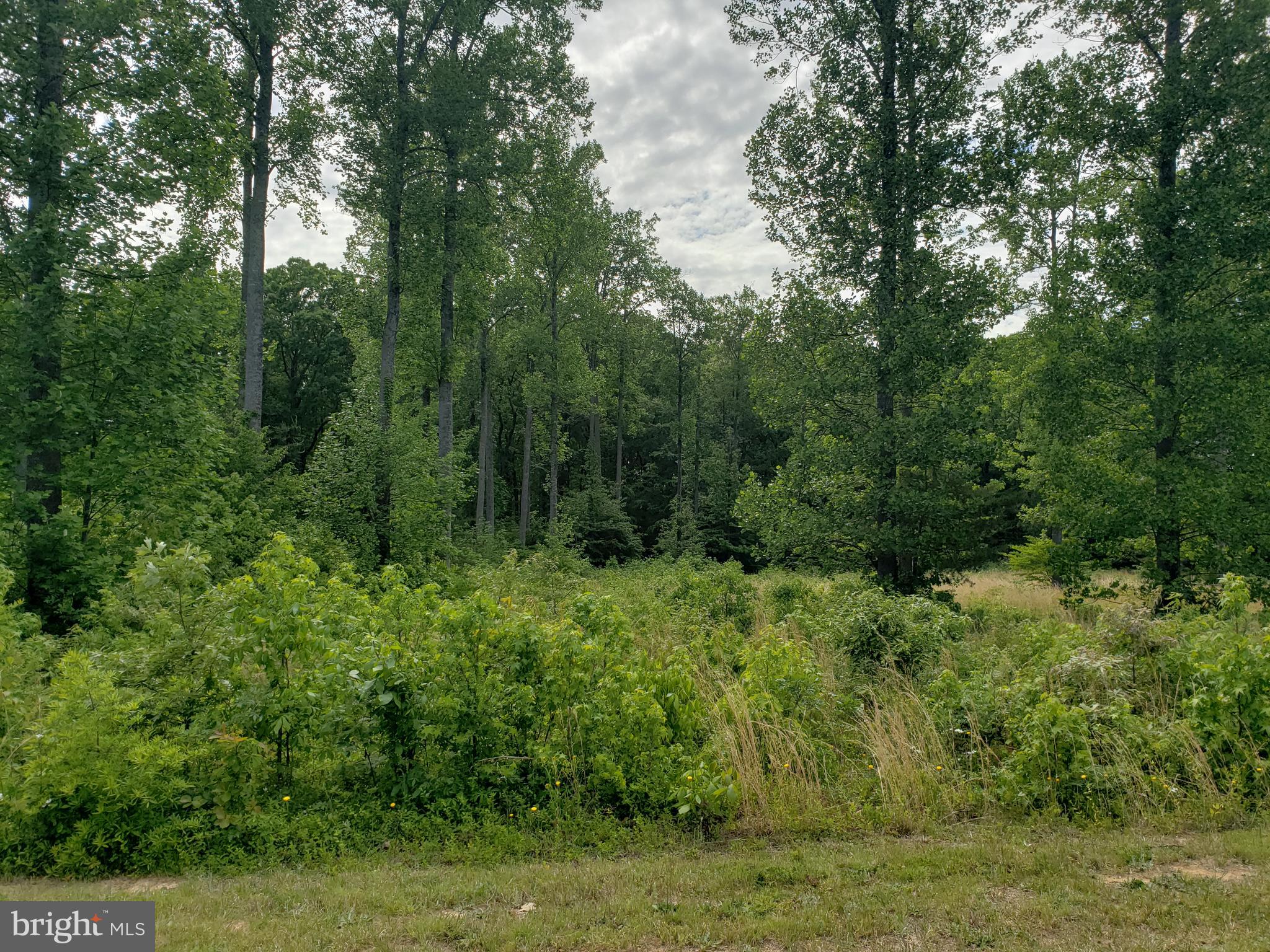 Lot 166 Rainbow Ridge Bumpass, VA 23024 - Photo 3 of 6 Gallery Image 3