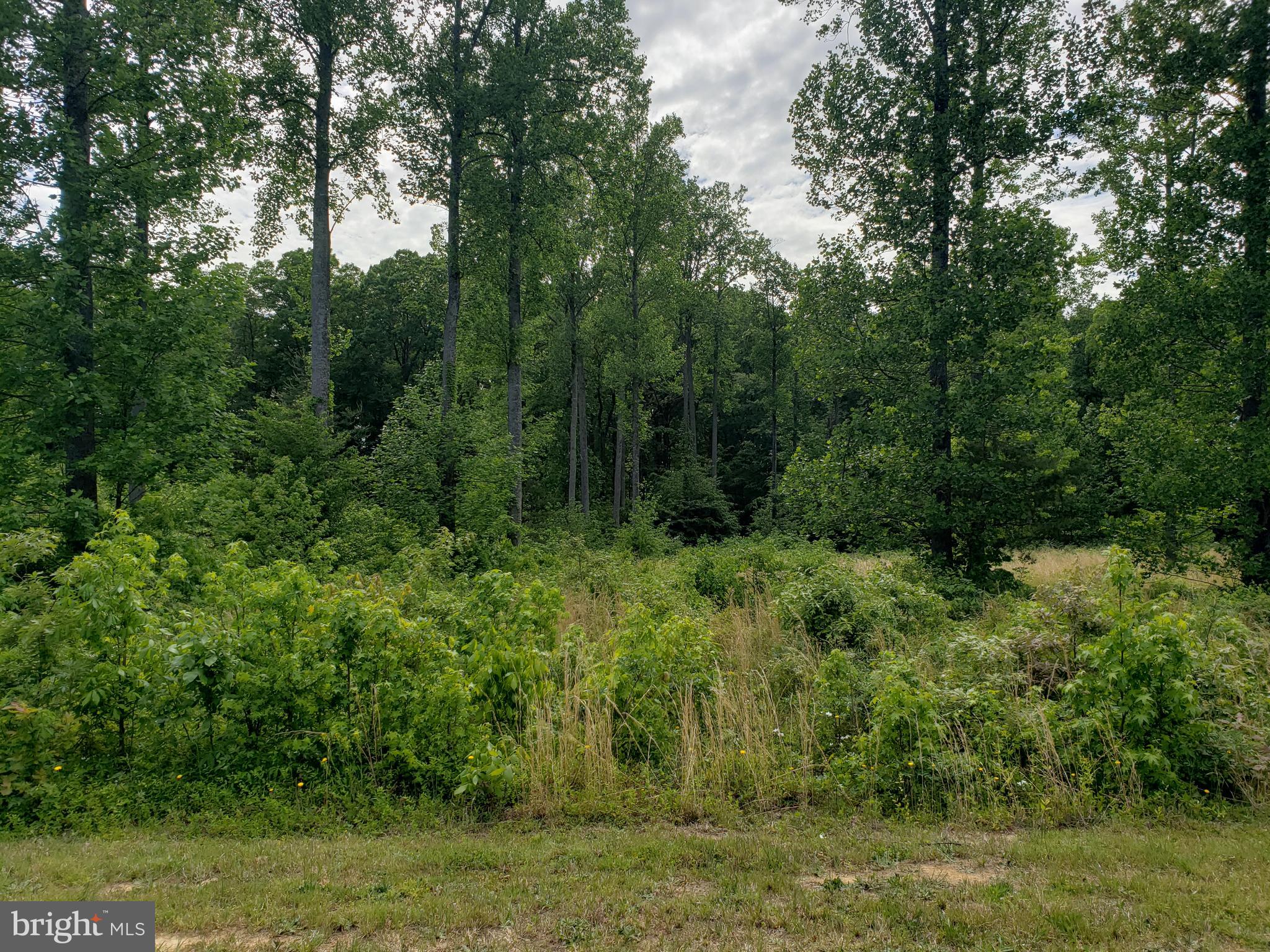 Lot 166 Rainbow Ridge Bumpass, VA 23024 - Photo 4 of 6 Gallery Image 4