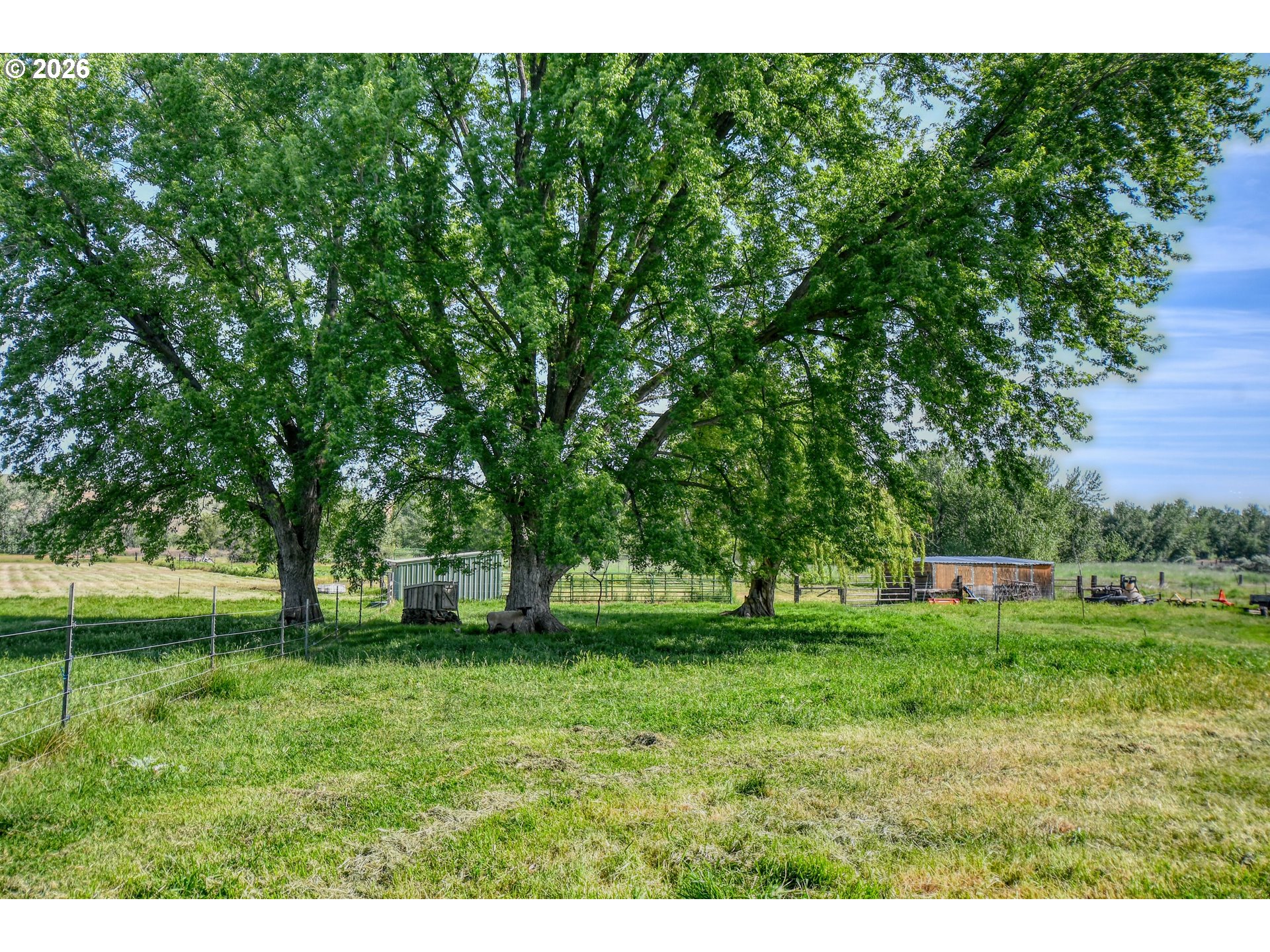 73561 Williams Lane Pendleton, OR 97801 - Photo 11 of 35