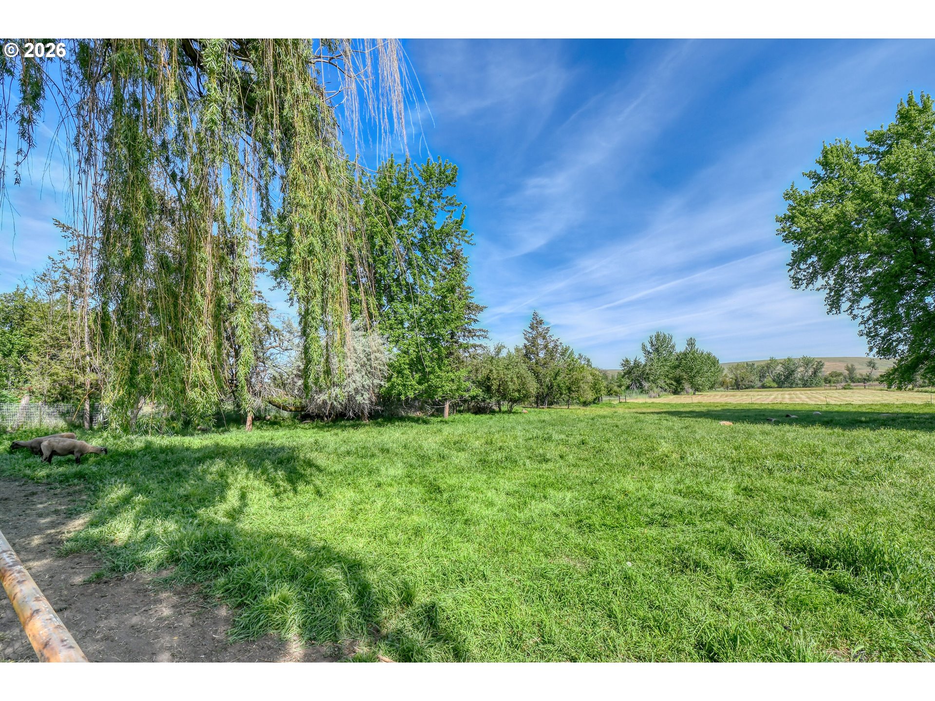 73561 Williams Lane Pendleton, OR 97801 - Photo 10 of 35