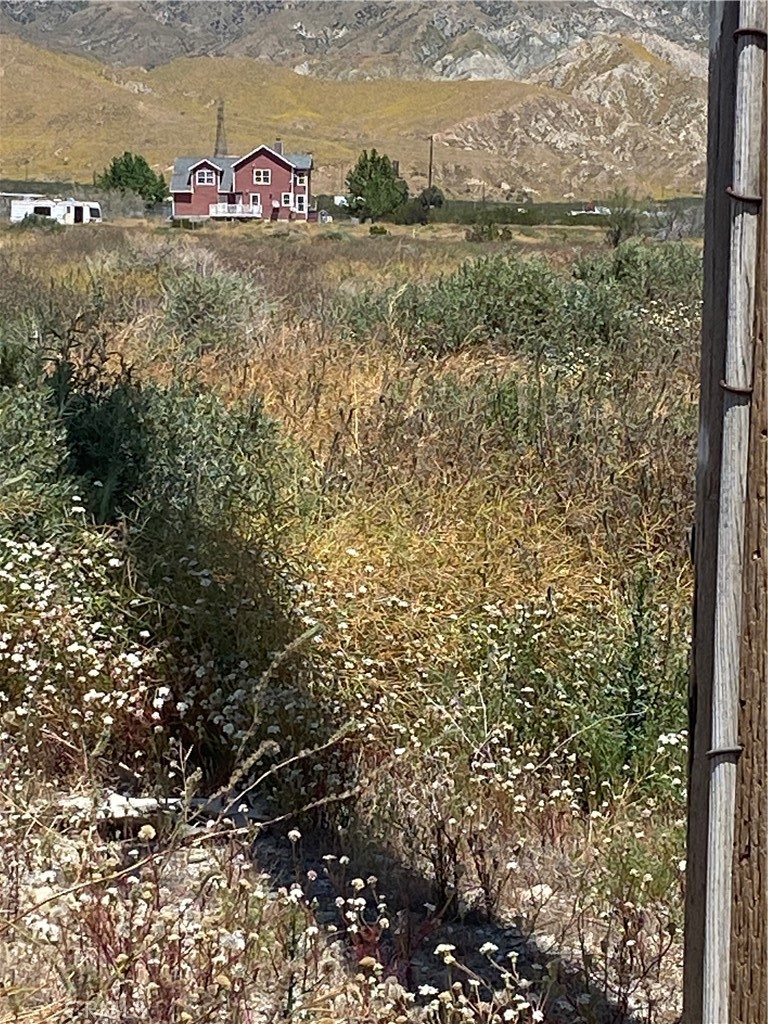 a view of a dry yard