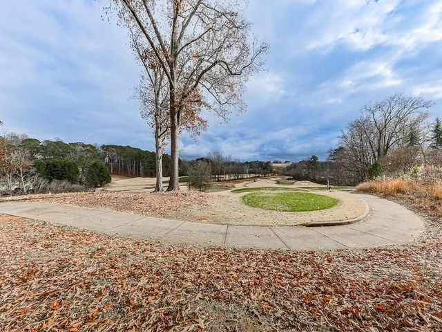 a view of a swimming pool with a yard