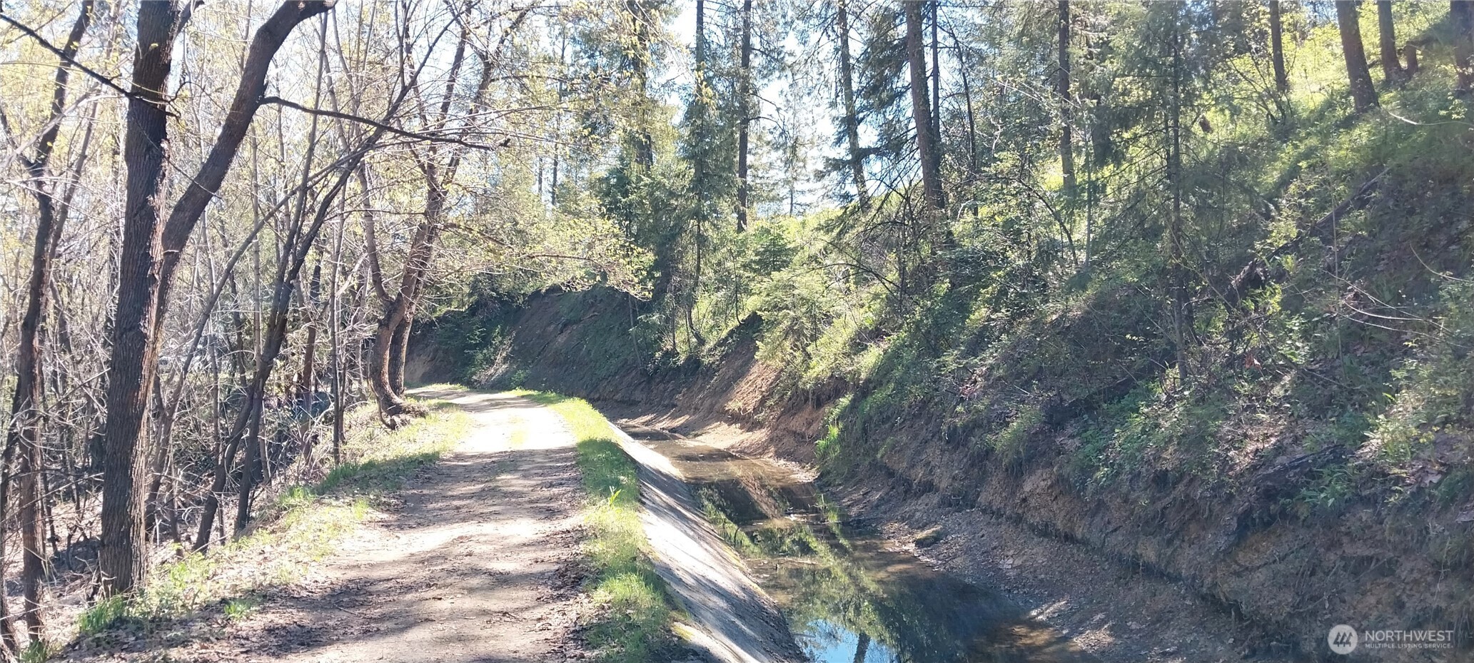 8010 Green Road Peshastin, WA 98847 - Photo 11 of 33 a view of a yard with a tree