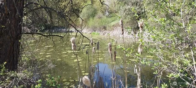 $1,500,000 | 8010 Green Road, Peshastin, WA 98847