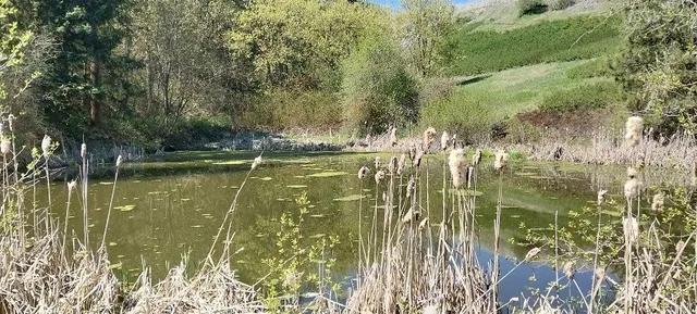 $1,500,000 | 8010 Green Road, Peshastin, WA 98847