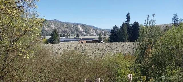 $1,500,000 | 8010 Green Road, Peshastin, WA 98847