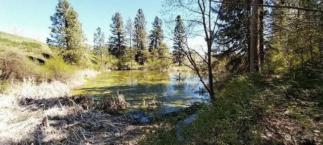 $1,500,000 | 8010 Green Road, Peshastin, WA 98847