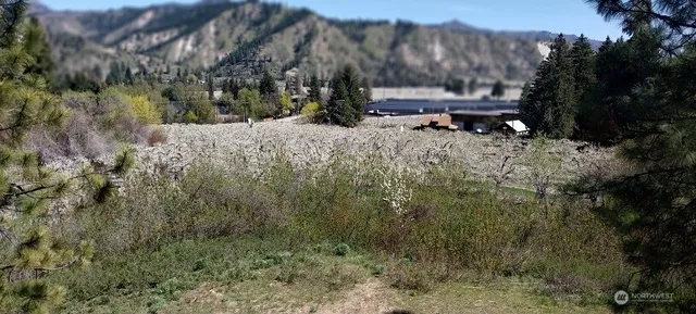 $1,500,000 | 8010 Green Road, Peshastin, WA 98847