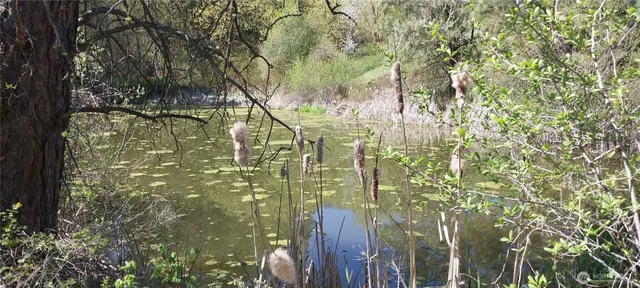 $1,500,000 | 8010 Green Road, Peshastin, WA 98847