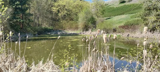 $1,500,000 | 8010 Green Road, Peshastin, WA 98847