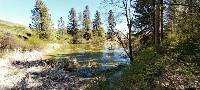 $1,500,000 | 8010 Green Road, Peshastin, WA 98847