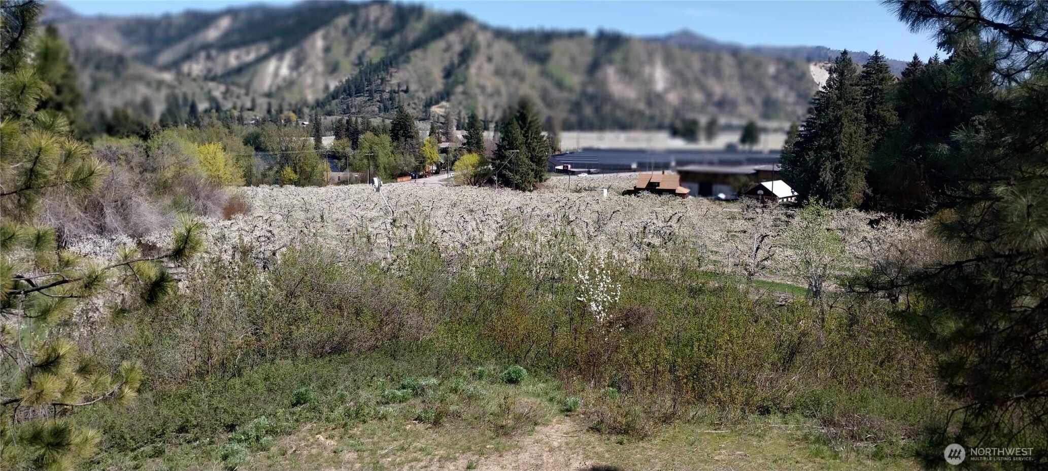 8010 Green Road Peshastin, WA 98847 - Photo 10 of 33 a view of a house with a yard