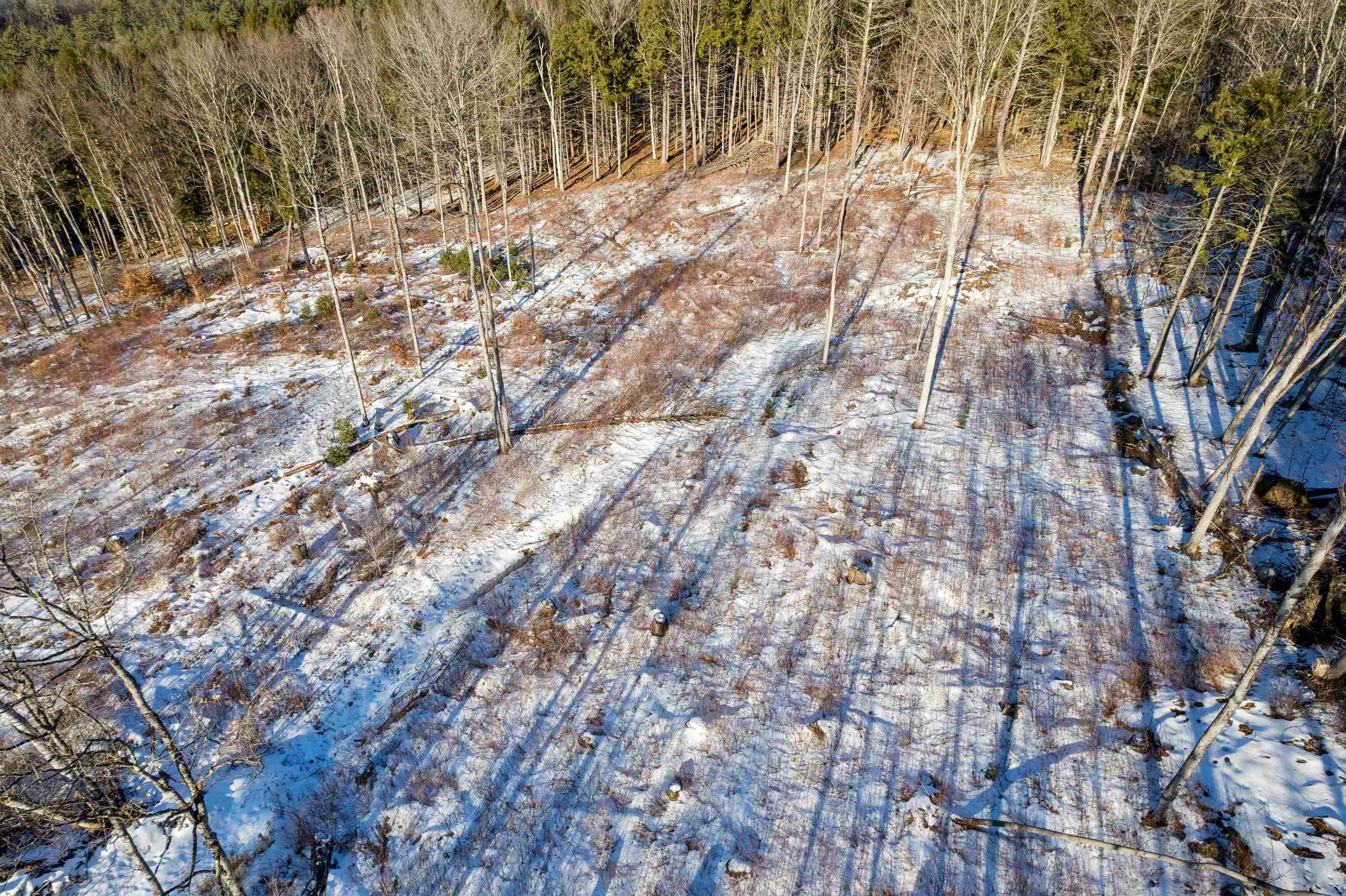 0 Wildlife Road White River Junction, VT 05001 - Photo 4 of 17