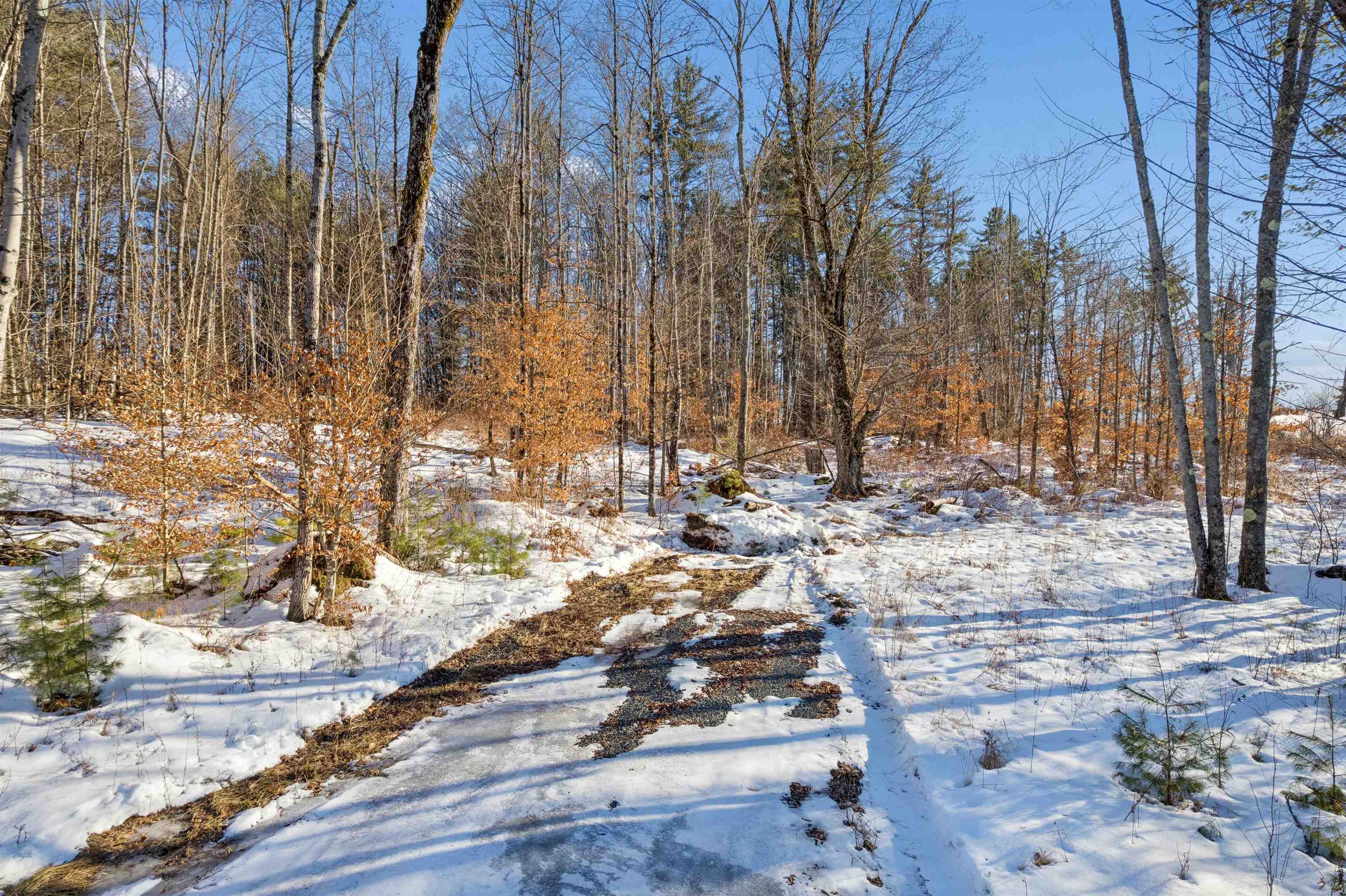 0 Wildlife Road White River Junction, VT 05001 - Photo 10 of 17