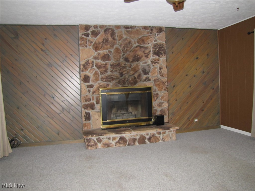 1194 Croyden Road Lyndhurst, OH 44124 - Photo 17 of 25 Detailed view of wooden walls, carpet flooring, a stone fireplace, and a textured ceiling