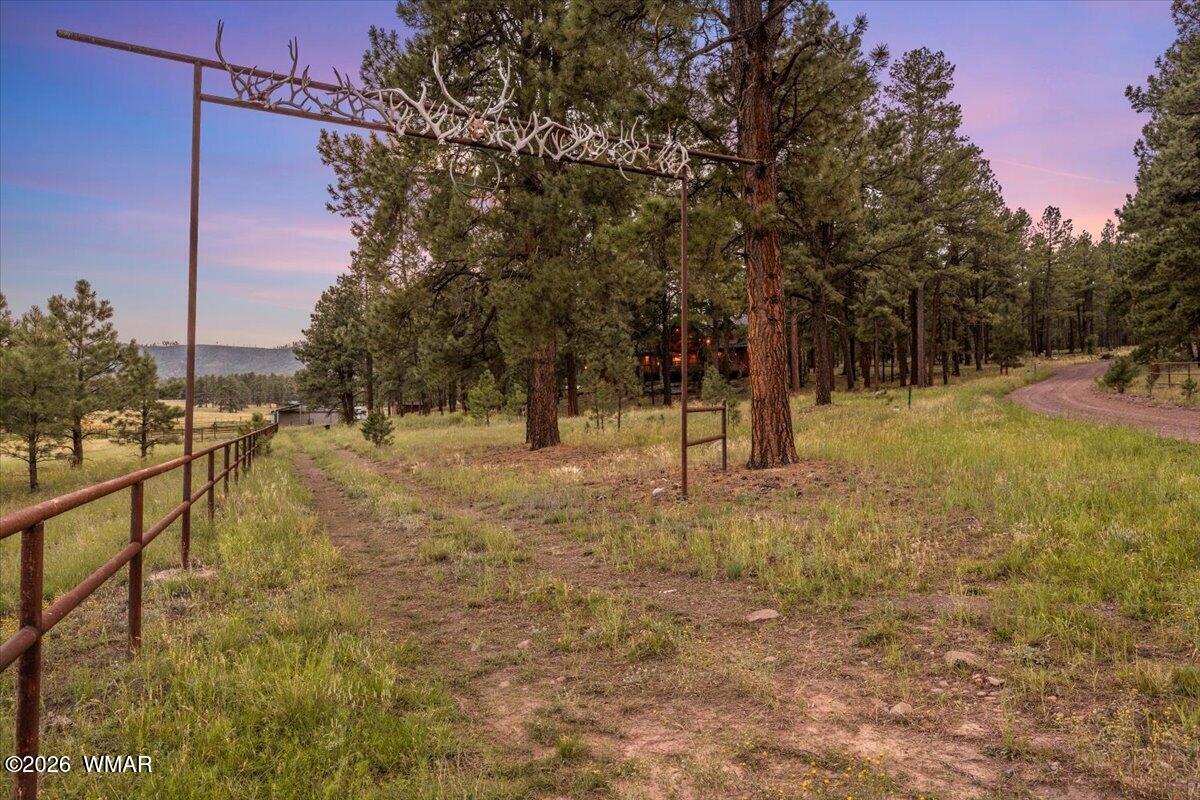 36 County Road Alpine, AZ 85920 - Photo 63 of 70 Gallery Image 63