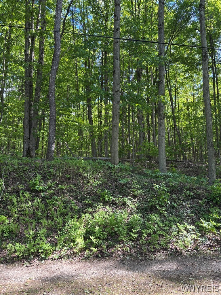 10147 Savage Road Sardinia, NY 14080 - Photo 11 of 21