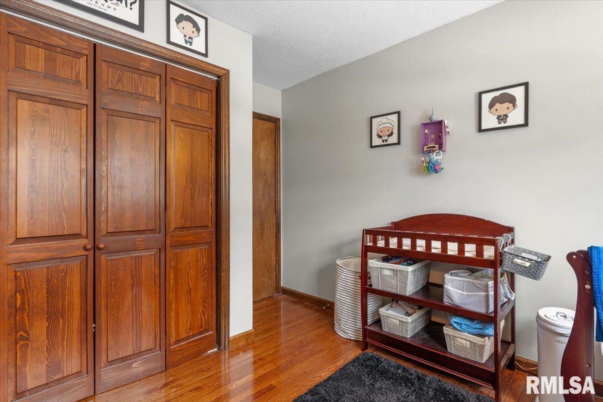 631 Hackberry Drive Chatham, IL 62629 - Photo 17 of 31