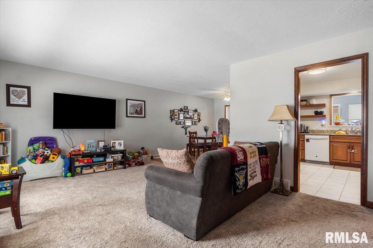 631 Hackberry Drive Chatham, IL 62629 - Photo 4 of 31