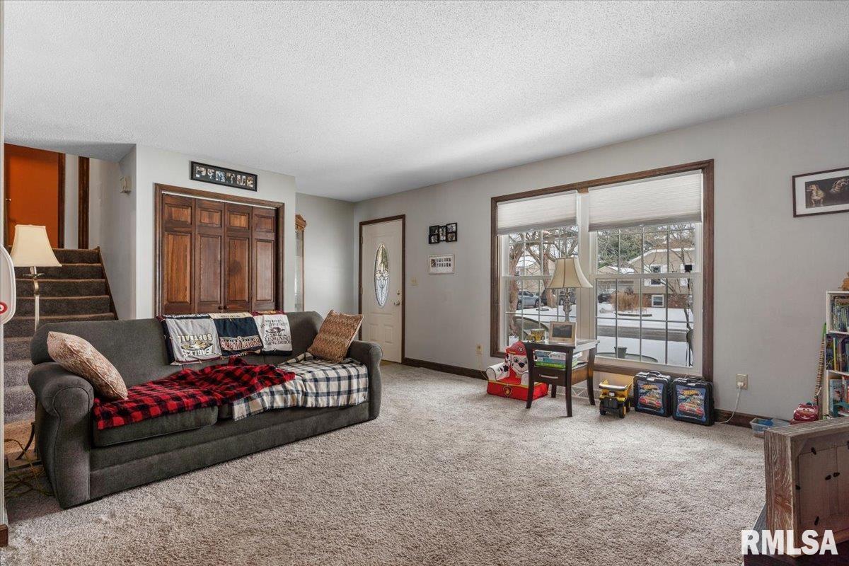 631 Hackberry Drive Chatham, IL 62629 - Photo 5 of 31