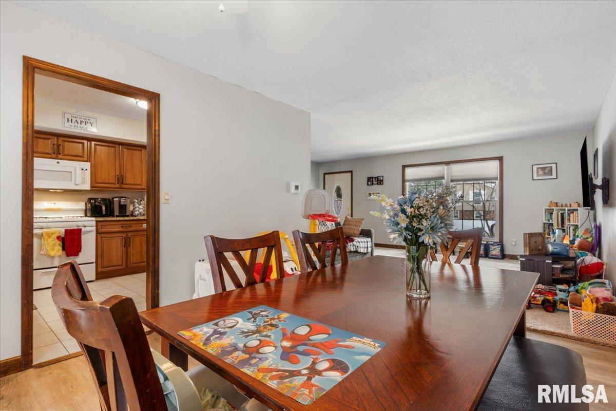 631 Hackberry Drive Chatham, IL 62629 - Photo 7 of 31