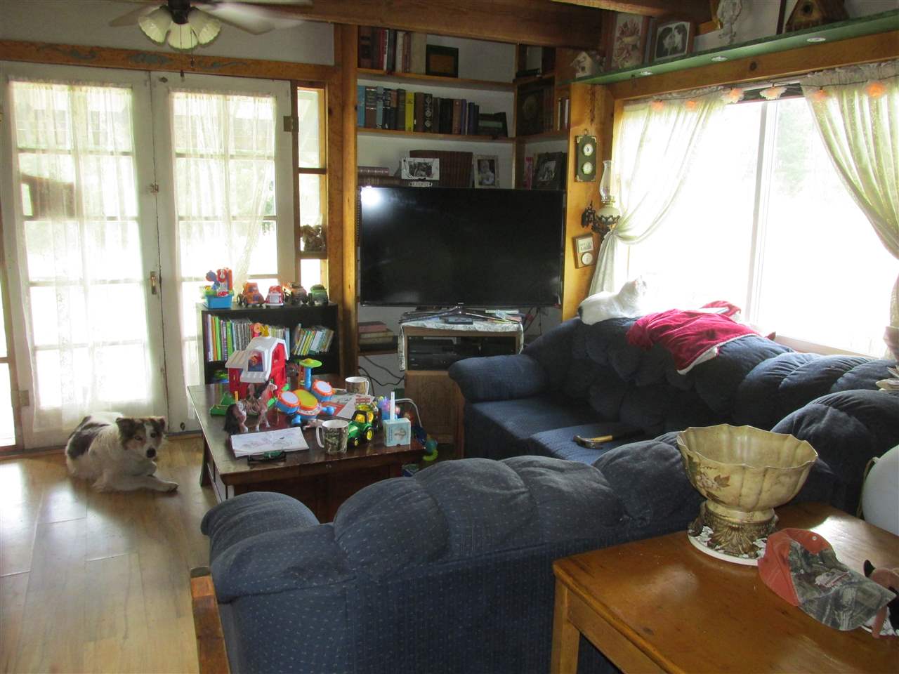 176 Jacknife Lookout Road Kettle Falls, WA 99141 - Photo 19 of 20 Gallery Image 19
