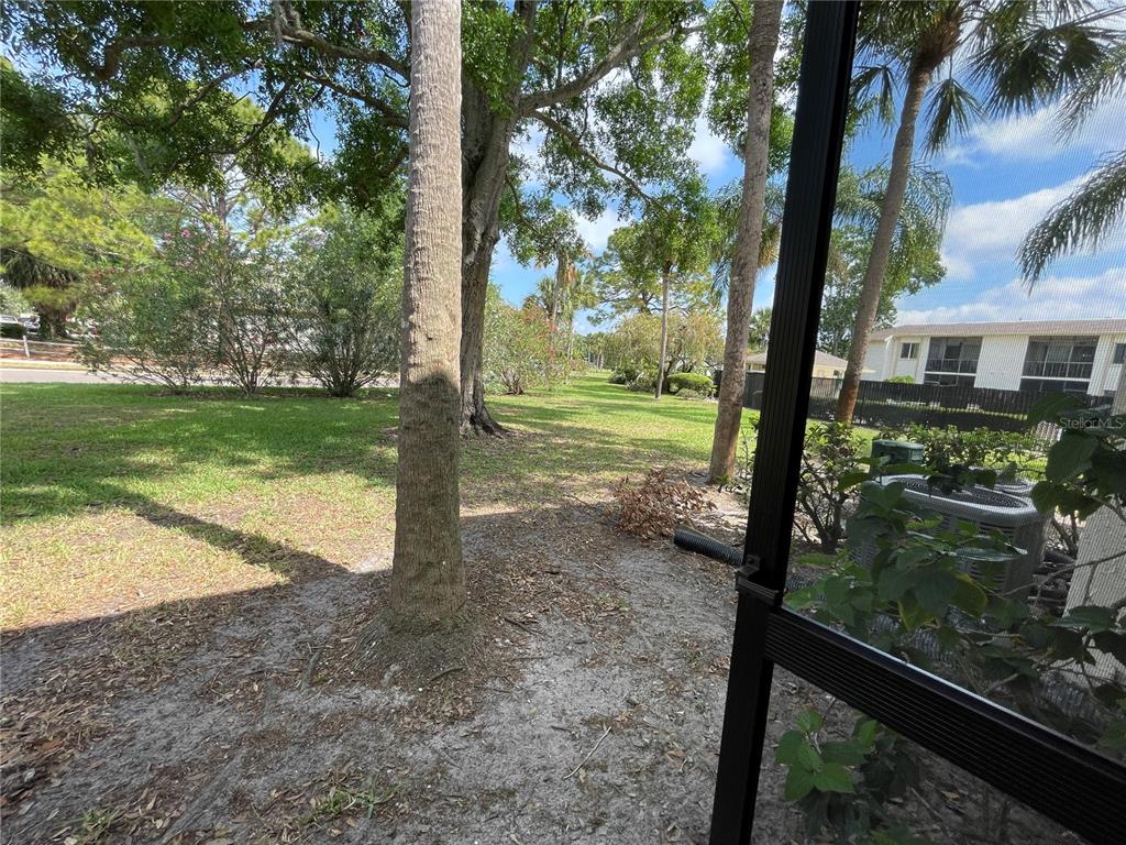 211 Pine Court, Unit 211 Oldsmar, FL 34677 - Photo 43 of 47