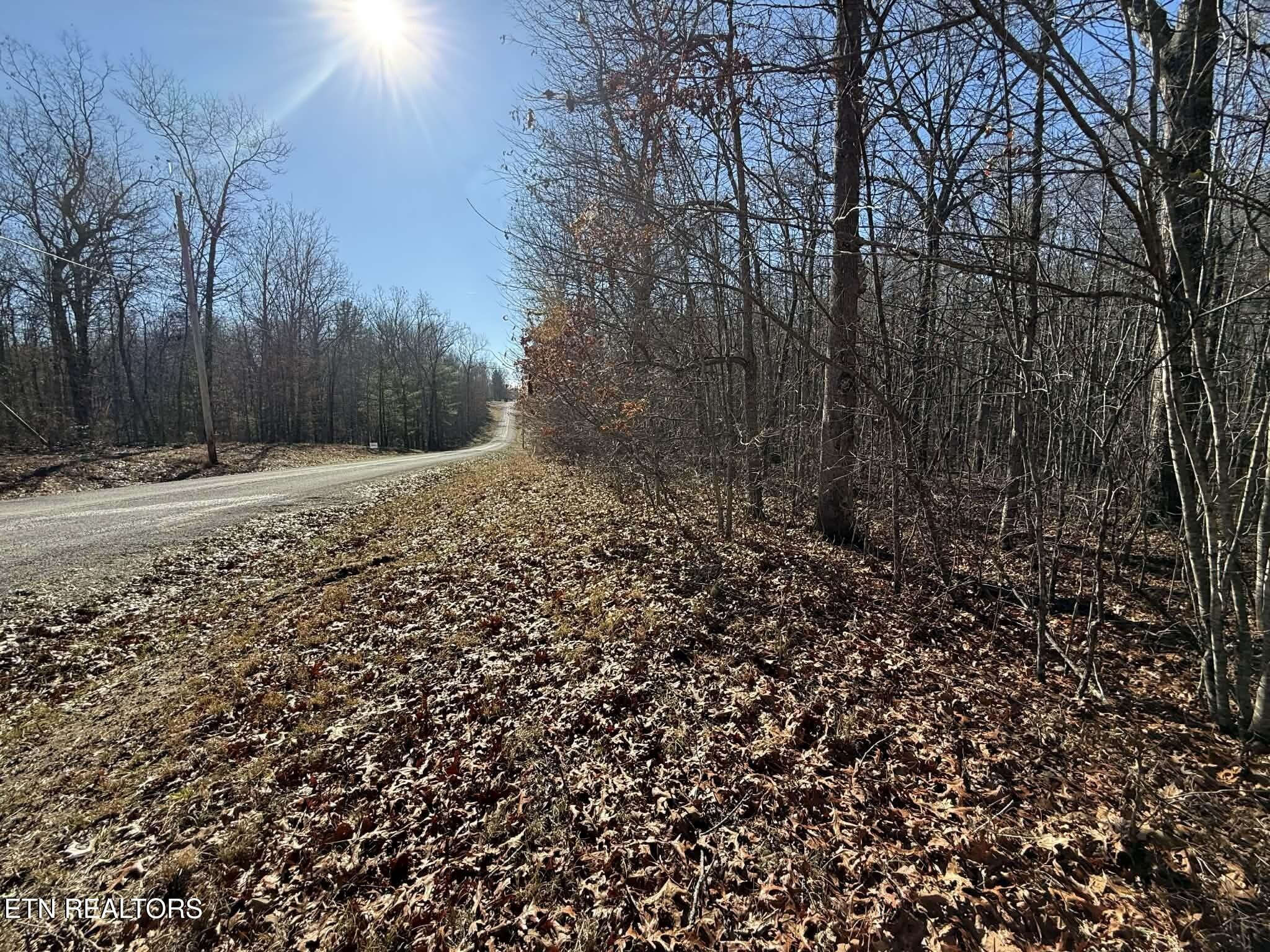 0 Georgee Road Jamestown, TN 38556 - Photo 4 of 13