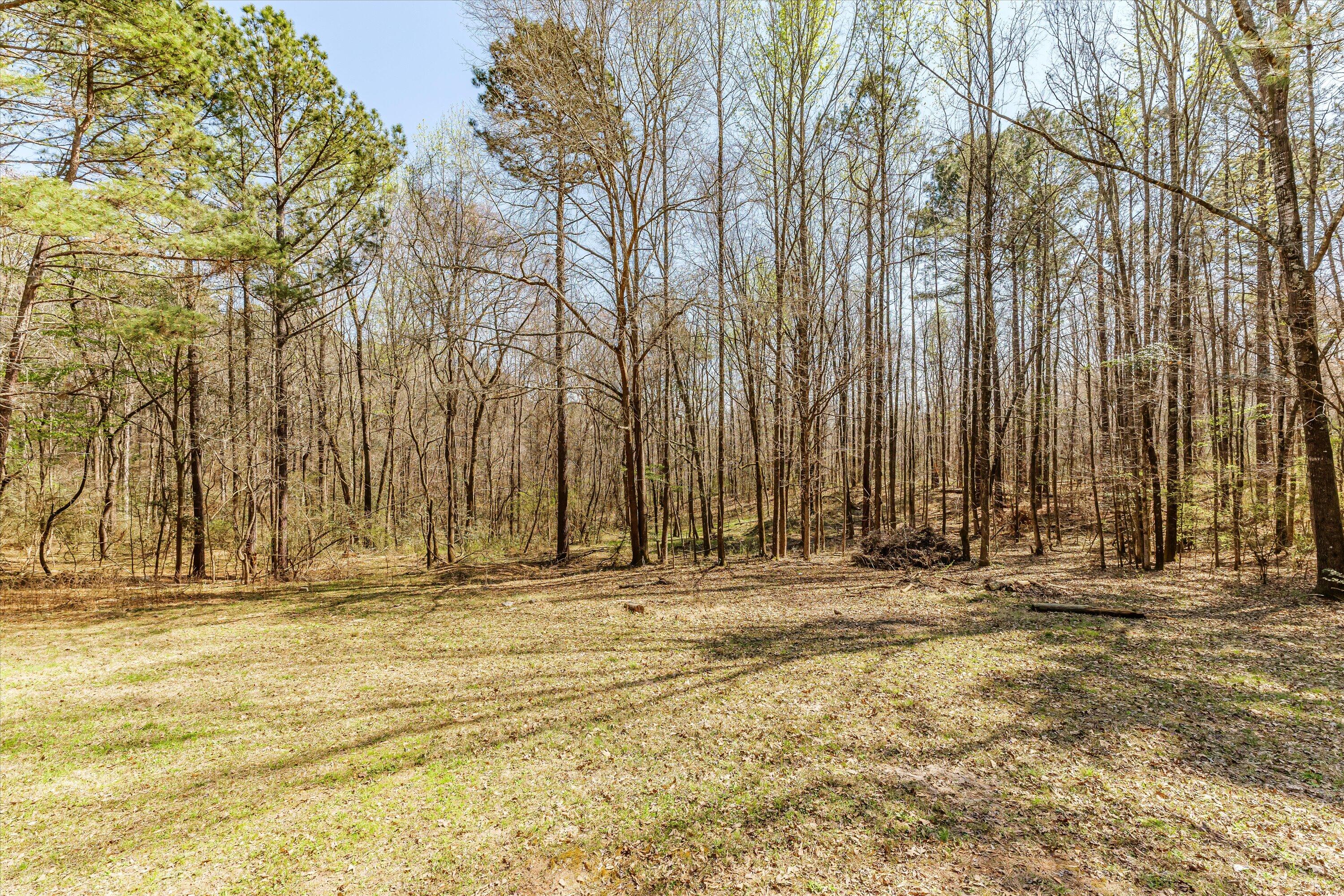 1707 Watson Bailey Road Harlem, GA 30814 - Photo 11 of 32 33-P1704954