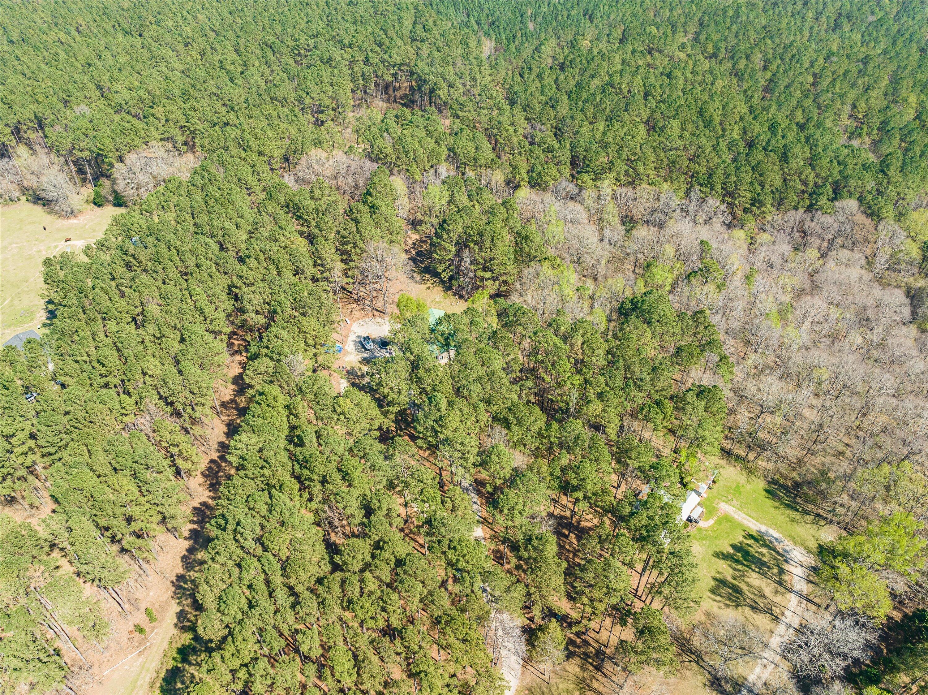 1707 Watson Bailey Road Harlem, GA 30814 - Photo 5 of 32 16-DJI_0748-HDR