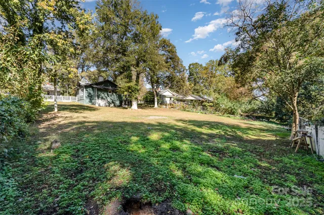 a view of a yard with large trees