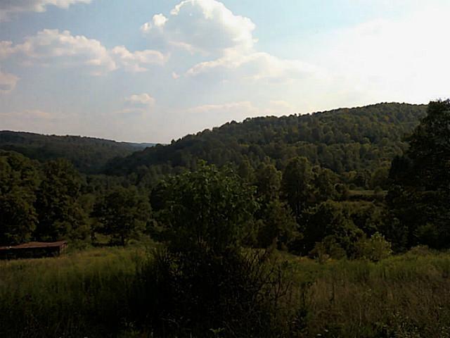 1919 Wingett Run Road Wingett Run, OH 45789 - Photo 11 of 11