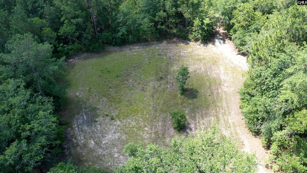 0 Huckleberry Finn Road Batesburg, SC 29006 - Photo 2 of 9