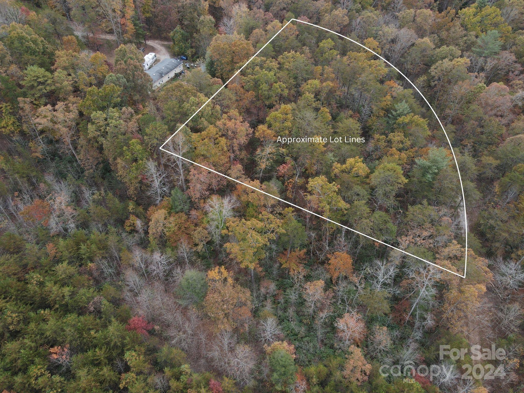 99999 Hill Road Marion, NC 28752 - Photo 3 of 20 Gallery Image 3