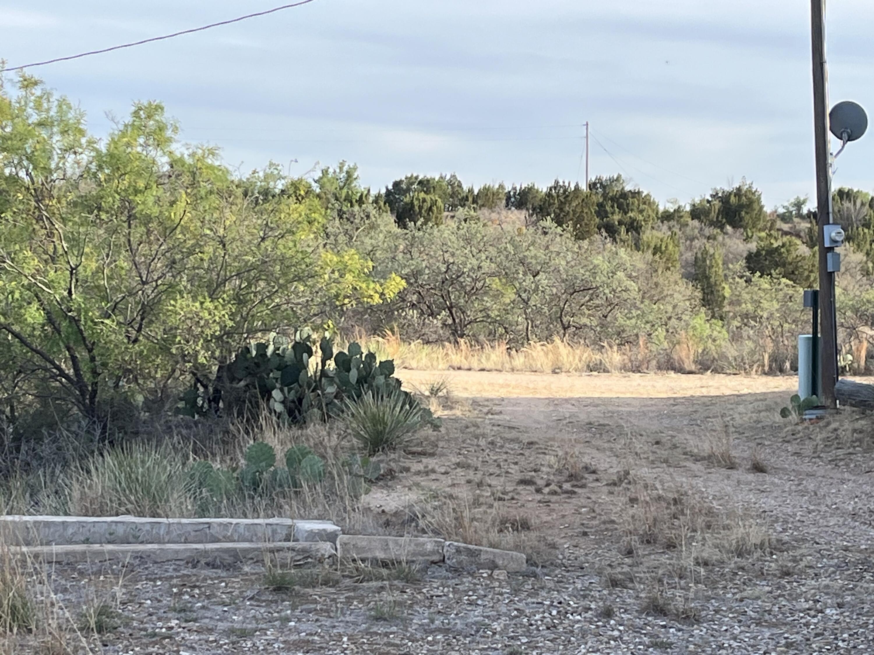 145 Lakesite Road Spur, TX 79370 - Photo 11 of 12 a view of a yard with a tree